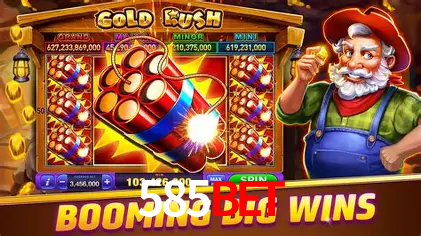 Interface Premium 585BET